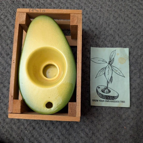 Grow Your Own Avocado 🥑 Tree - Picture 2 of 9